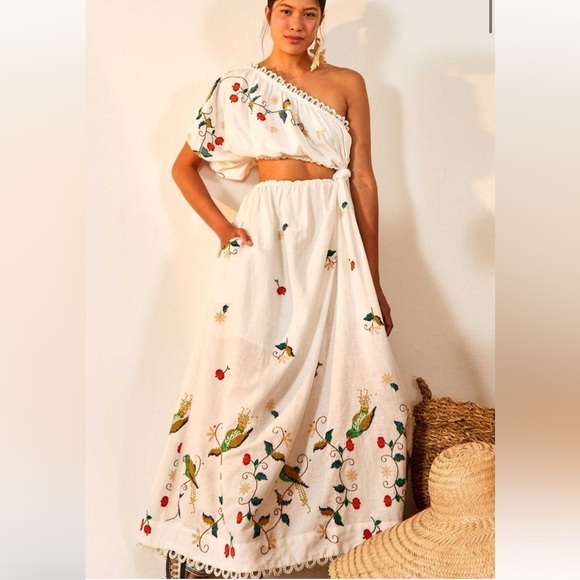 FARM Rio Dresses & Skirts - BNWT Stunning Farm Rio Pitanga Embroidered One-Shoulder Maxi Dress